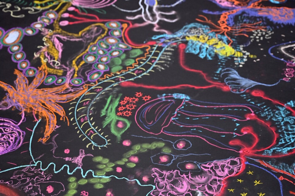 Body-Mind Centering® und Somatische Gestaltung